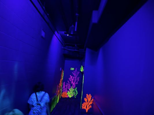 St. Louis Aquarium at Union Station by null