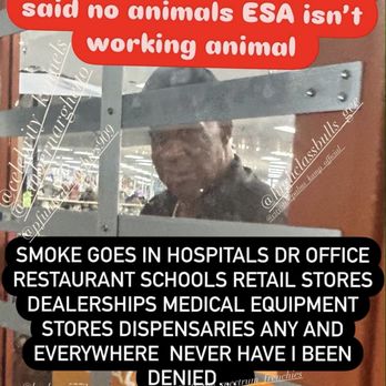 Crazy Boss - I'm involved in a large community we do advocacy for autistic children in the dog community - Discount Store Near Me - San Bernardino, California