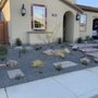 Photo of Horti-Scope Landscaping