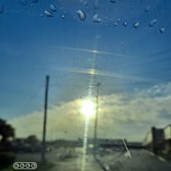 Family Fitness Centers - Port Richey - Rainy morning at the gym