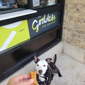The Goddess and Grocer - Bennie Bennie Boom Boom getting his treats The Goddess. Super convenient wak up window with super dog friendly baristas! - Bakeries Near Me - Chicago, Illinois