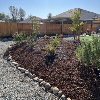 Mijangos Professional Landscape Services - Backyard - Landscaping Near Me