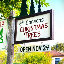 Larsen's Christmas Tree Farms
