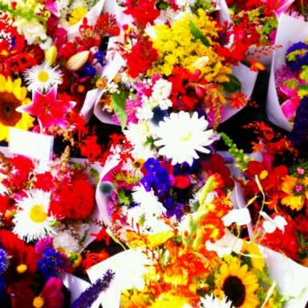 Proctor Farmers' Market - Fresh flowers - Farmers Market Near Me - Tacoma, Washington Proctor Farmers' Market - Fresh flowers - Farmers Market Near Me - Tacoma, Washington