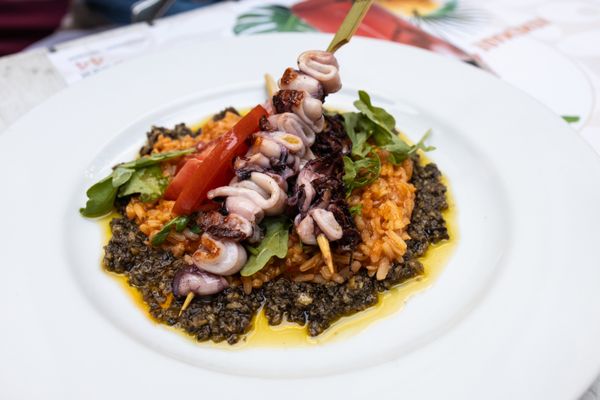 Kutschker 44 by null