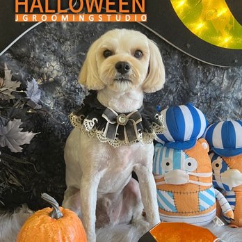 J Grooming Studio - They even made this great Halloween card for us! - Pet Groomers Near Me - Ewa Beach, Hawaii