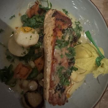 Jaguar Restaurant - Coconut Grove - The Salmon Norma - Latin American Near Me - Miami, Florida Jaguar Restaurant - Coconut Grove - The Salmon Norma - Latin American Near Me - Miami, Florida