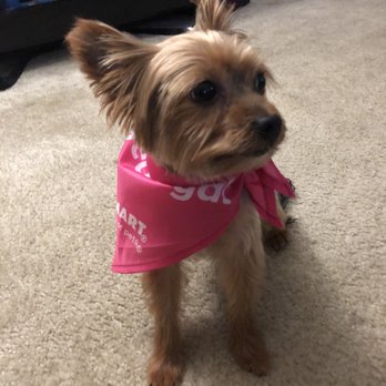 PetSmart - Pet Training Near Me - Oxon Hill, Maryland