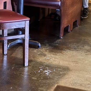 Radicci's Italian Bistro - Cheese that was left on the floor - Italian Near Me - Hayden, Idaho Radicci's Italian Bistro - Cheese that was left on the floor - Italian Near Me - Hayden, Idaho