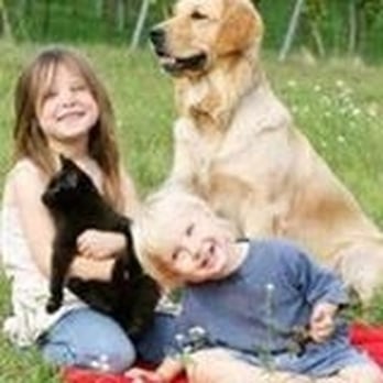 Williamsburg Veterinary Hospital - Veterinarians Near Me - Kitchener, Ontario