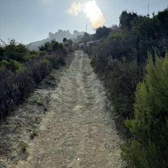 white attract punch 270