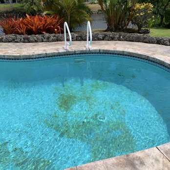Pali's Pools - Before they called me - Pool Cleaners Near Me - Kailua, Hawaii