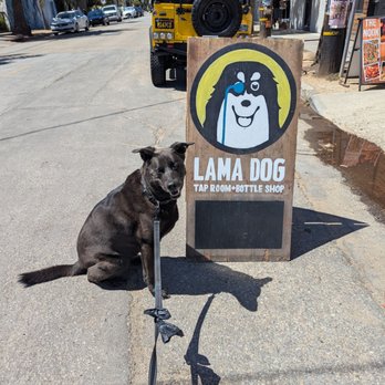 Lama Dog Tap Room - Beer, Wine & Spirits Near Me - Santa Barbara, California Lama Dog Tap Room - Beer, Wine & Spirits Near Me - Santa Barbara, California