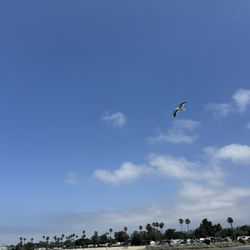 Mission Bay RV Resort - View from our space