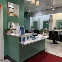 Hollywood Eyebrow Salon