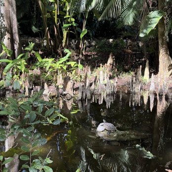 Pinecrest Gardens - Botanical Gardens Near Me - Pinecrest, Florida