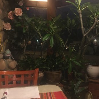 Sala Thai Restaurant - To help oxygenate the room, there are plants through the restaurant. - Thai Near Me - Madison, Wisconsin
