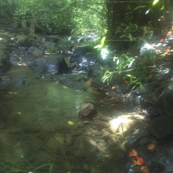 Pipiwai Trail - Hiking Near Me - Hana,, Hawaii