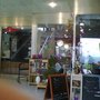 Photo of Bar Pizzeria L'Ilot