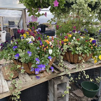 MJ Farm & Nursery - Nurseries & Gardening Near Me - Keller, Texas MJ Farm & Nursery - Nurseries & Gardening Near Me - Keller, Texas