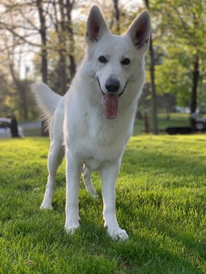 TICK RANGER - Updated October 2025 - 50 Reviews - 21 Commerce Rd ...