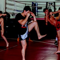 Wolfpack Boxing Club