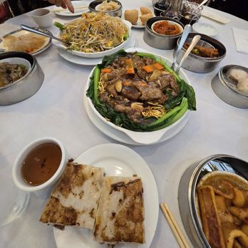 Ocean Harbor - Their beef pan fried noodle and stir-fried vermicelli w/ seafood & pickled vegetables are really good! - Dim Sum Near Me - Philadelphia, Pennsylvania