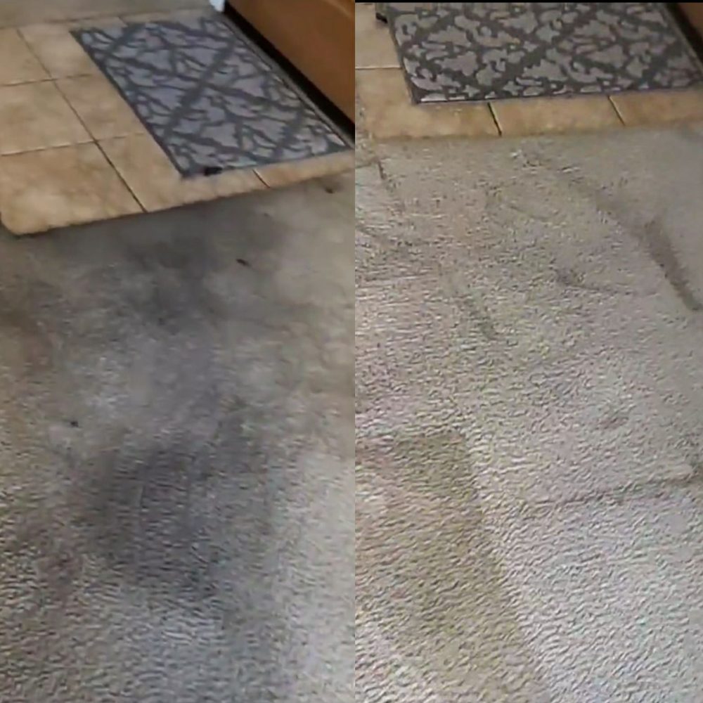 HARRIS CARPET CLEANING Updated July 2024 43 Reviews Vista