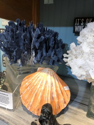 The Blue Mussel by null