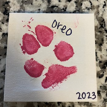 Titan's Doggy Daycare - Pet Boarding Near Me - Clearfield, Utah Titan's Doggy Daycare - Pet Boarding Near Me - Clearfield, Utah