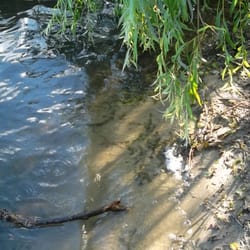 Mönchteich
