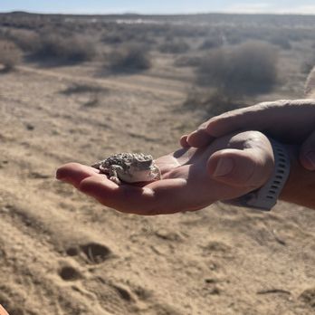 Wild Desert Tours - ATV Rentals/Tours Near Me - Helendale, California Wild Desert Tours - ATV Rentals/Tours Near Me - Helendale, California