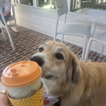 La La Land - Coffee & Tea Near Me - Dallas, Texas La La Land - Coffee & Tea Near Me - Dallas, Texas
