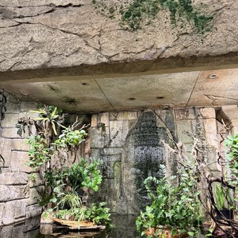 Shark Reef Aquarium at Mandalay Bay - Aquariums Near Me - Las Vegas, Nevada