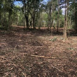 palmetto land solutions - Underbrush job