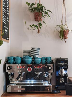 Yellow Tucan Coffee by null