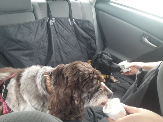 Starbucks Coffee Company by null