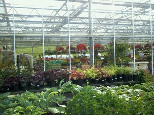 Potomac Garden Center 8710 Fingerboard Rd Frederick Md Nurseries Mapquest Potomac Garden Center 8710 Fingerboard