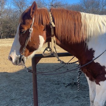Marshall Creek Ranch - Cherokee :) - Summer Camps Near Me - Southlake, Texas Marshall Creek Ranch - Cherokee :) - Summer Camps Near Me - Southlake, Texas