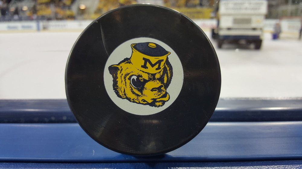 YOST ICE ARENA 49 Photos & 20 Reviews Skating Rinks 1116 S State