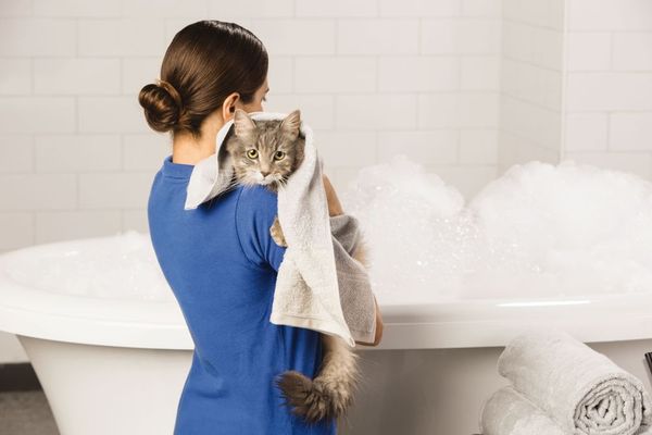 PetSmart by null