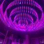 Photo of The Penthouse Club - Baton Rouge