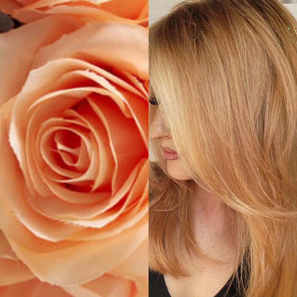 Christopher Stephens Salon Image