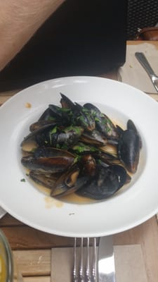 Salty's Beach House by null