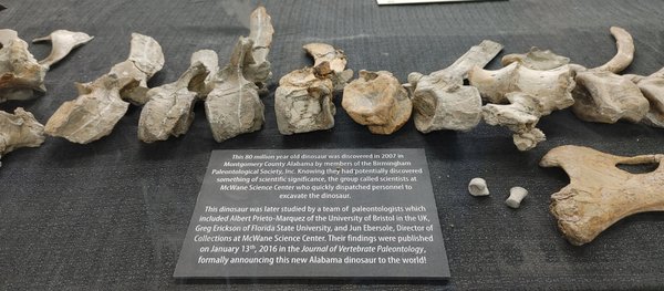 McWane Science Center by null