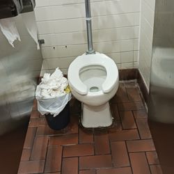 Nasty, disgusting toilet area.