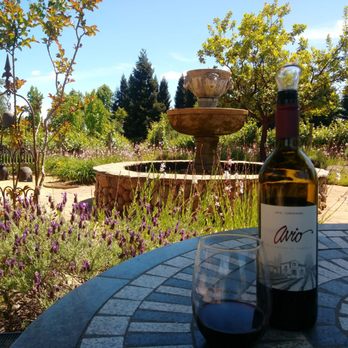 Avio Vineyards - 2016 Zinfandel *YUM* - Wineries Near Me - Sutter Creek, California Avio Vineyards - 2016 Zinfandel *YUM* - Wineries Near Me - Sutter Creek, California