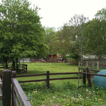 St Werburghs City Farm - Community Service/Non-Profit Near Me - Bristol, BST