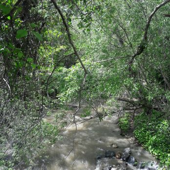 Wildwood Park - Parks Near Me - Saratoga, California Wildwood Park - Parks Near Me - Saratoga, California