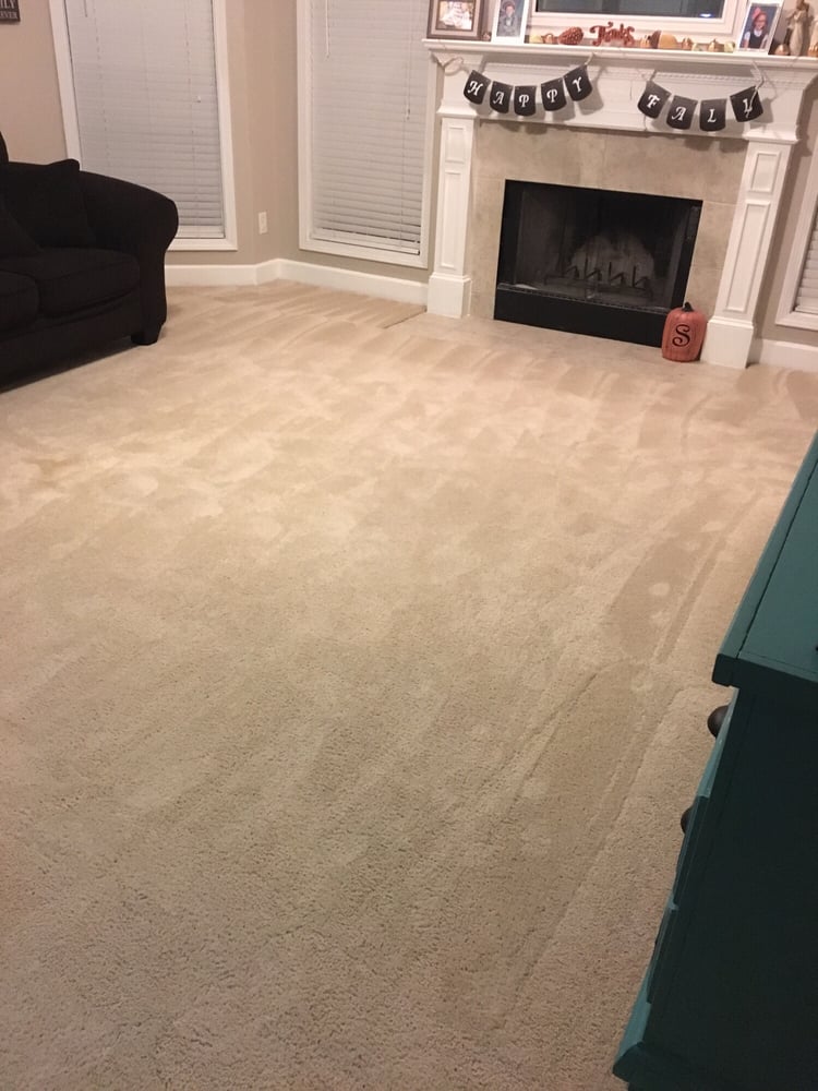 ELITE CARPET CLEANERS Updated October 2024 12 Photos & 10 Reviews